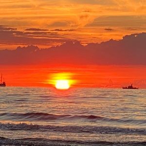 Meet your Posher, Justine